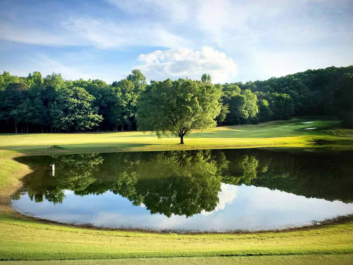 A golf course and tree reflected in a quiet pond